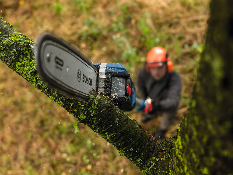 BOSCH Sägekette 25 cm 1,1 mm Professional
