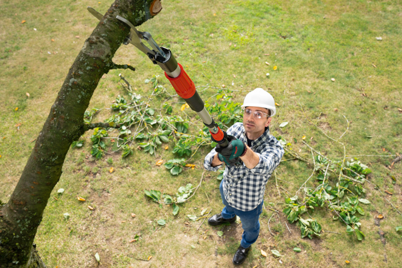BOSCH Akku-Gartenschere AdvancedPrune 18V-45