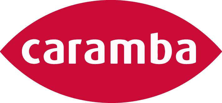 CARAMBA Zink-Spray 500ml mattgrau Caramba CARAMBA Zink-Spray 500ml mattgrau Caramba