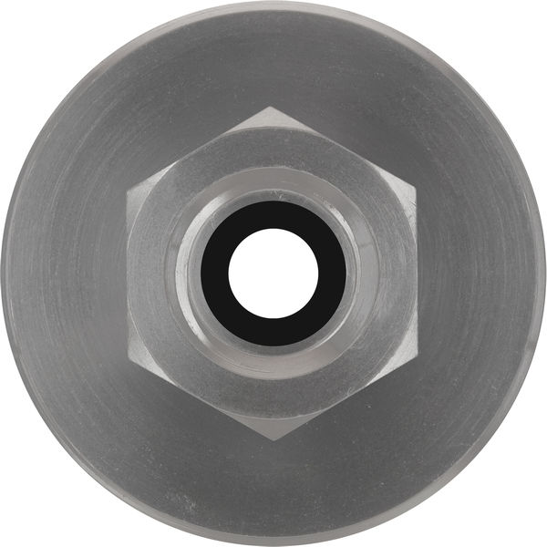 BOSCH PRO Adapter für Fettpresse, 500 g Schraubkartusche