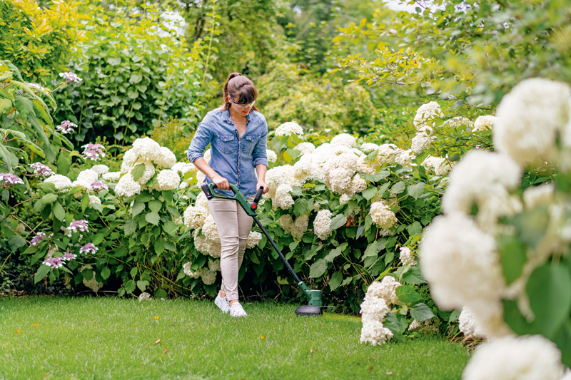 BOSCH Akku-Rasentrimmer EasyGrassCut 18V-26 BOSCH Akku-Rasentrimmer EasyGrassCut 18V-26