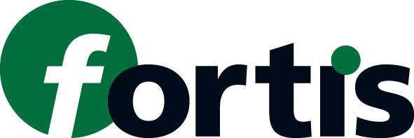 FORTIS HW-Abrundfräser R4 20,7x11,5x53 S8