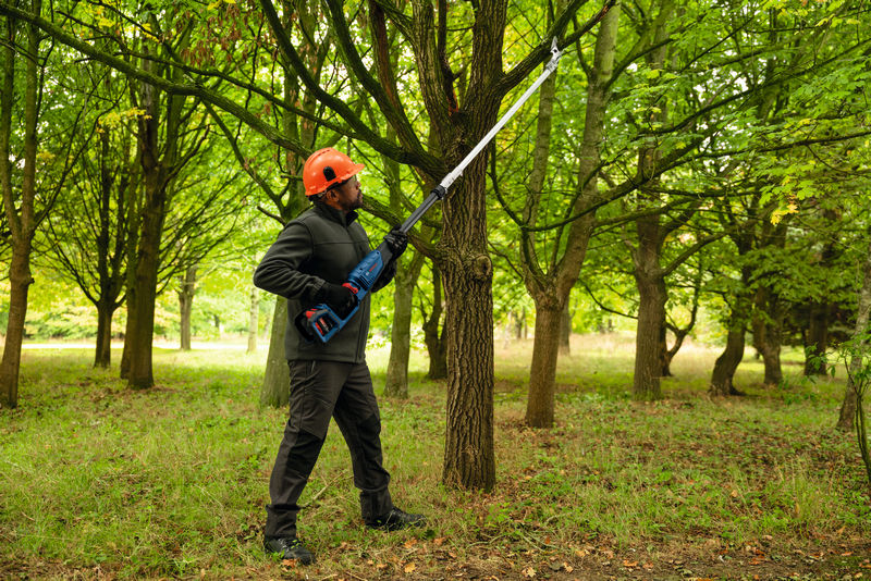BOSCH Akku-Gartenschere GGP18V-45EP