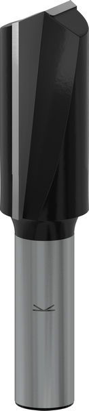 BOSCH PRO Nutfräser, zweischneidig, Ø 20 x L 40, Schaft 12 mm BOSCH PRO Nutfräser, zweischneidig, Ø 20 x L 40, Schaft 12 mm
