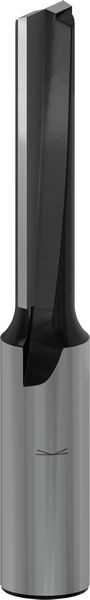 BOSCH PRO Nutfräser, zweischneidig, Ø 10 x L 40, Schaft 12 mm