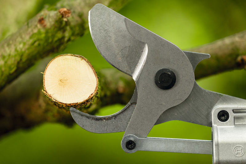 BOSCH Akku-Gartenschere GGP18V-45EP