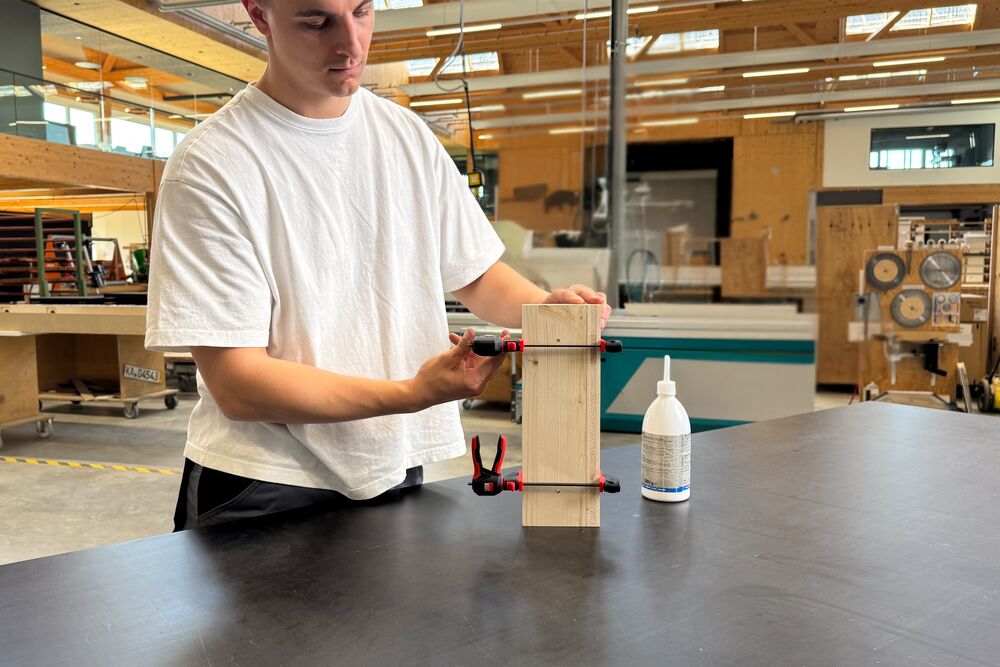 BESSEY Einhandzwinge mit drehbarem Griff EZ360 BESSEY Einhandzwinge mit drehbarem Griff EZ360