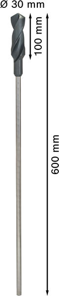BOSCH PRO Wood HSS Installationsbohrer, 30 x 100 x 600 mm BOSCH PRO Wood HSS Installationsbohrer, 30 x 100 x 600 mm
