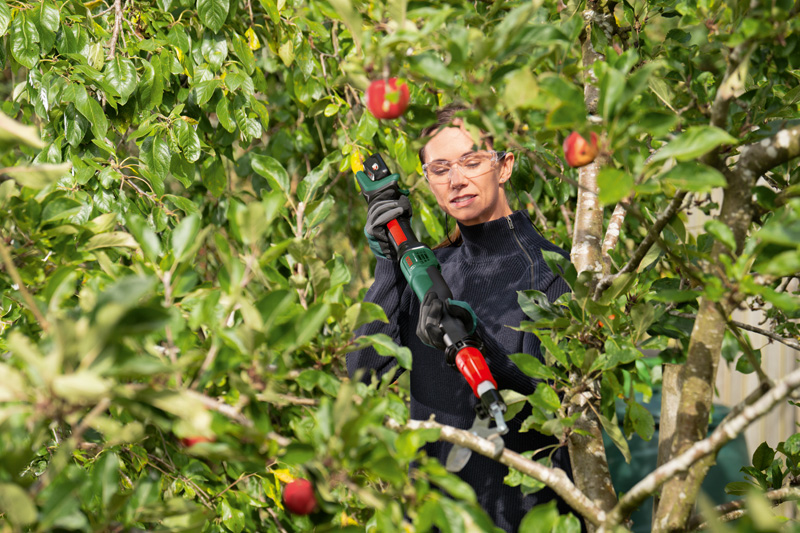 BOSCH Akku-Gartenschere AdvancedPrune 18V-45
