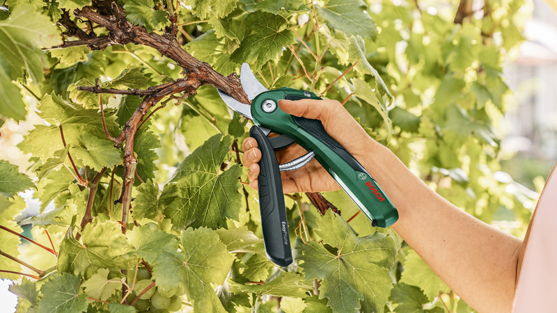 BOSCH Akku-Gartenschere EasyPrune BOSCH Akku-Gartenschere EasyPrune