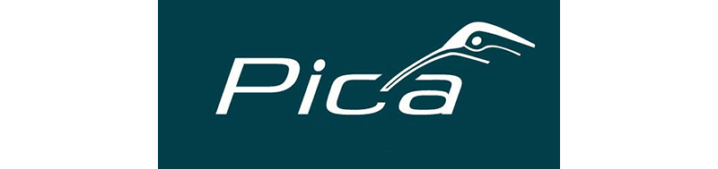 Pica