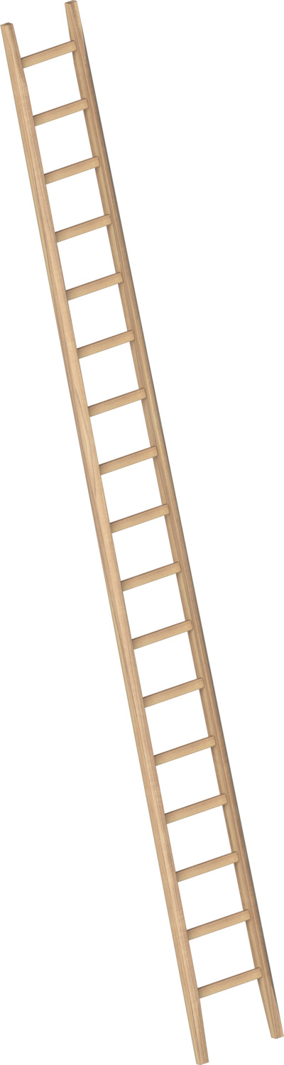LAYHER Bau-Holzanlegeleiter 1036