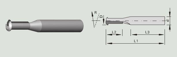 STEHLE 3512 Profil-Nut-Schaftfräser HW - für Lamello Clamex P® (10x20x10 Z=1 R) STEHLE 3512 Profil-Nut-Schaftfräser HW - für Lamello Clamex P® (10x20x10 Z=1 R)