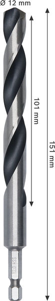 BOSCH Metal HSS Spiralbohrer, 12 x 101 x 151 mm, HEX 1/4“ Schaft BOSCH Metal HSS Spiralbohrer, 12 x 101 x 151 mm, HEX 1/4“ Schaft