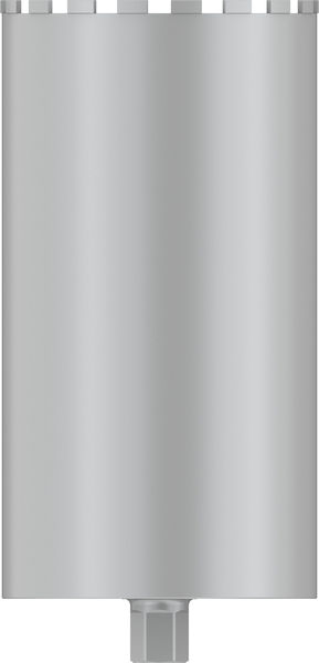 BOSCH PRO Nassbohrkrone, 250 x 450 mm, 1 1/4" UNC