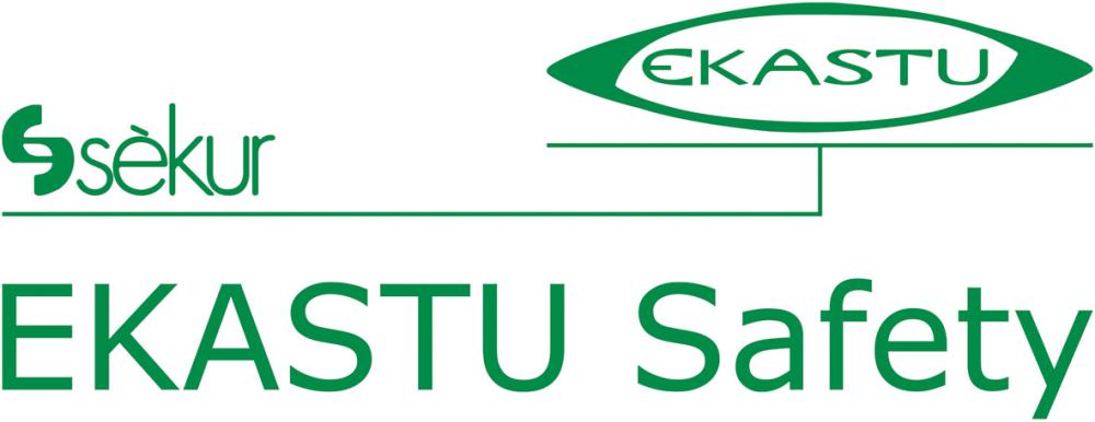 EKASTU SAFETY Vorsetz-Lesebrille 1,5 Dioptrien