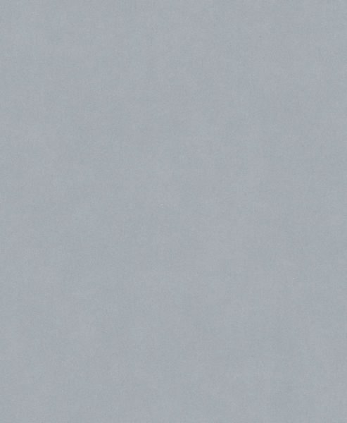 BOSCH PRO C355 Schleifrolle, 230 x 280 mm, 1200 BOSCH PRO C355 Schleifrolle, 230 x 280 mm, 1200