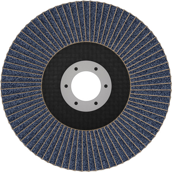 BOSCH X451 Fächerschleifscheibe, 125 x 22,23 mm, K80, Z29, 60-tlg BOSCH X451 Fächerschleifscheibe, 125 x 22,23 mm, K80, Z29, 60-tlg