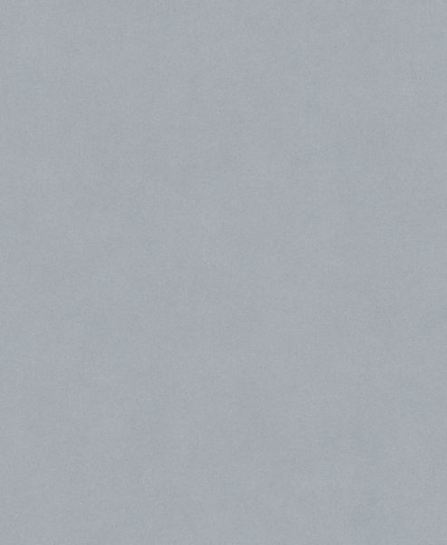 BOSCH PRO C355 Schleifrolle, 230 x 280 mm, 320 BOSCH PRO C355 Schleifrolle, 230 x 280 mm, 320