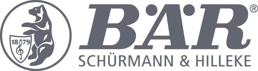 BÄR Drallhaftschraube galZn 4,6x 85 a 1,0kg BÄR