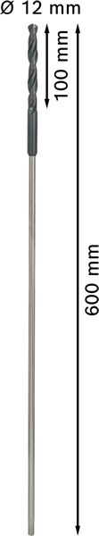 BOSCH PRO Wood HSS Installationsbohrer, 12 x 100 x 600 mm BOSCH PRO Wood HSS Installationsbohrer, 12 x 100 x 600 mm