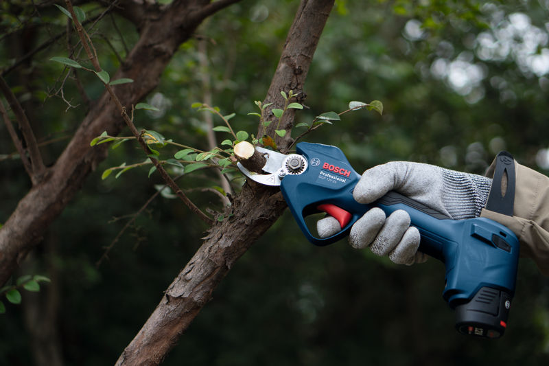 BOSCH Akku-Gartenschere GGP 12V-25