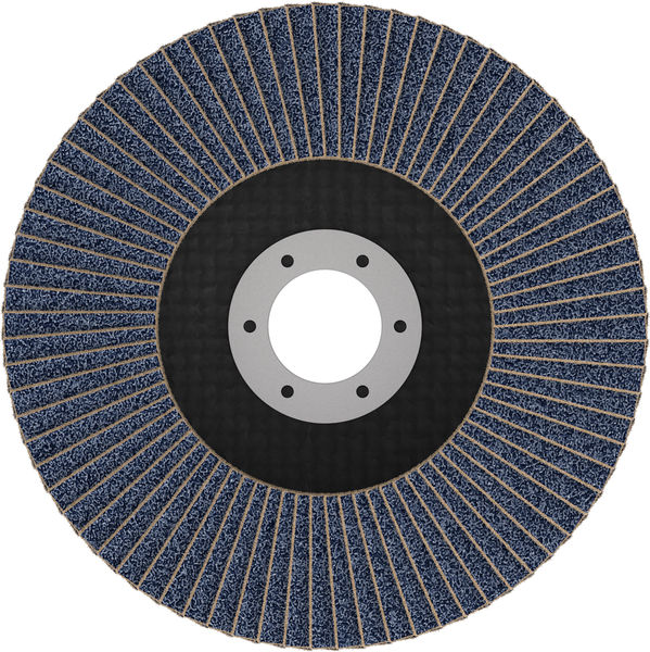 BOSCH X451 Fächerschleifscheibe, 125 x 22,23 mm, K80, Z29, 15-tlg BOSCH X451 Fächerschleifscheibe, 125 x 22,23 mm, K80, Z29, 15-tlg