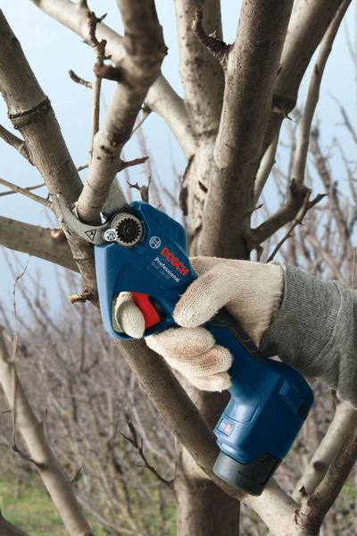 BOSCH Akku-Gartenschere GGP 12V-25